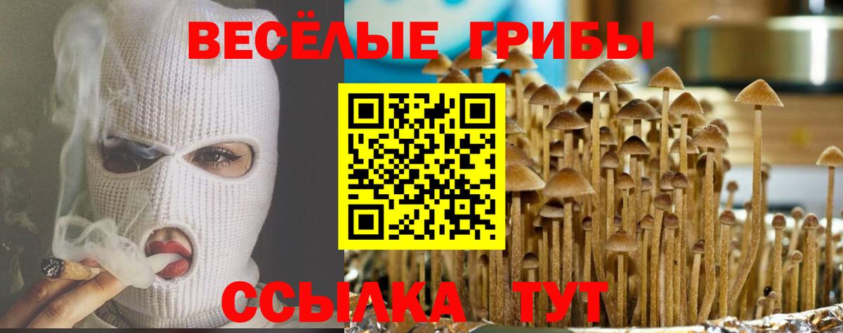 Галлюциногенные грибы GOLDEN TEACHER Лосино-Петровский